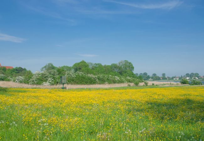 Inselflair im Frühling